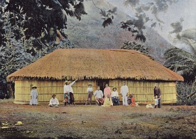 Tahitisk hytte af European Photographer